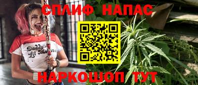 ПСИЛОЦИБИНОВЫЕ ГРИБЫ Донской