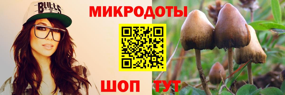 Кулебаки  Галлюциногенные грибы мицелий  Вход с VPN  Псилоцибиновые грибы GOLDEN TEACHER 